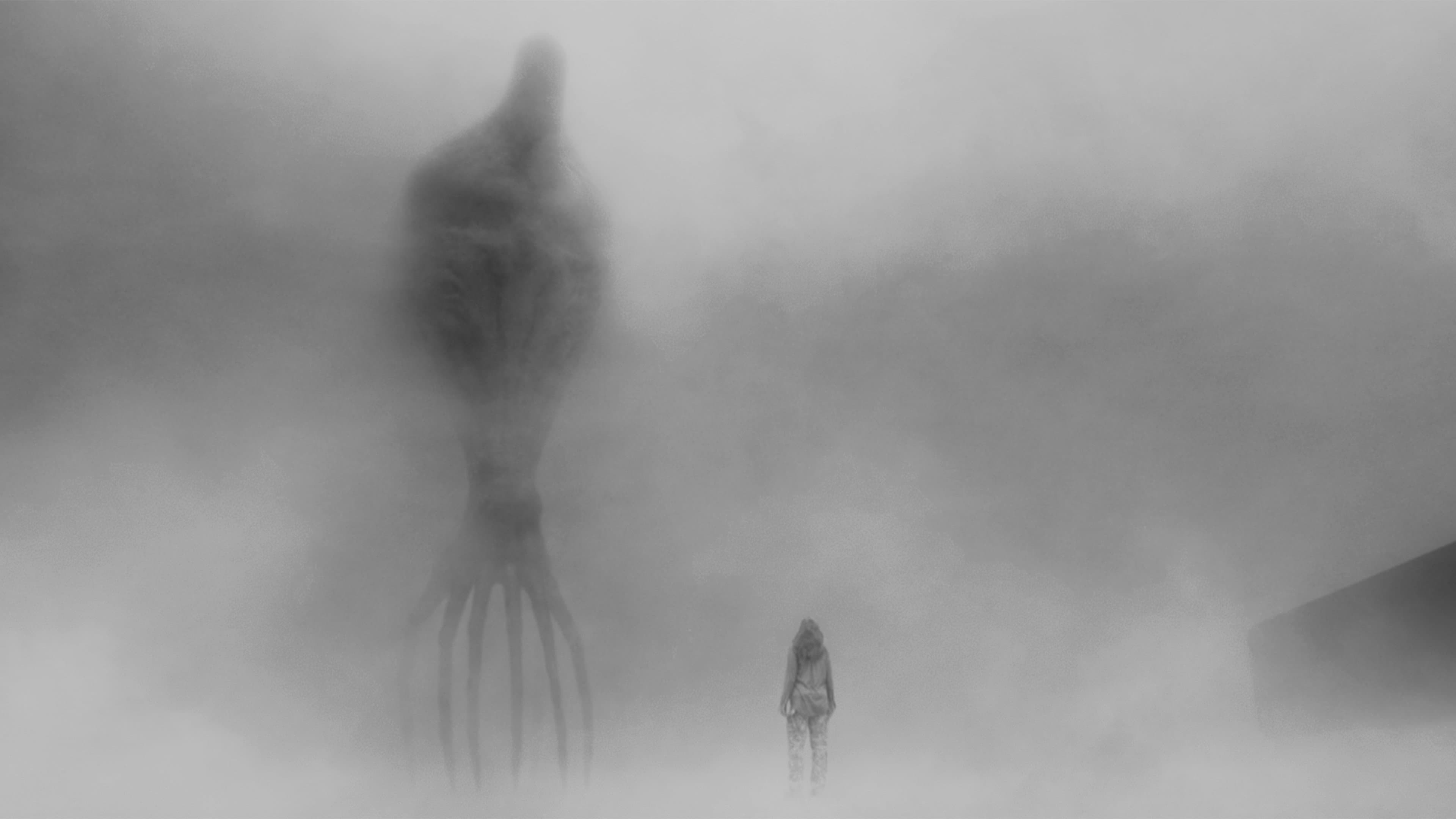 backdrop
