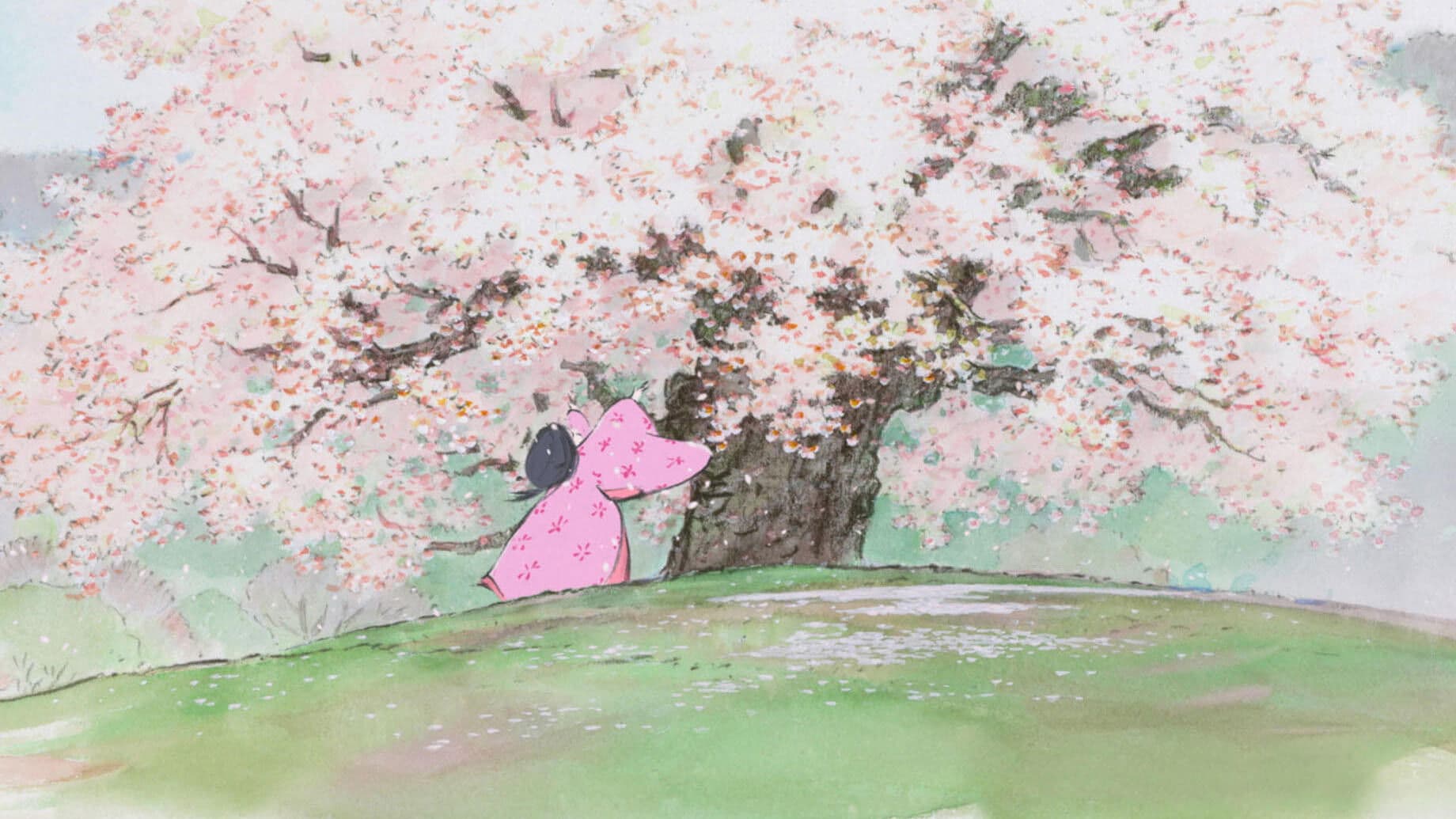 backdrop