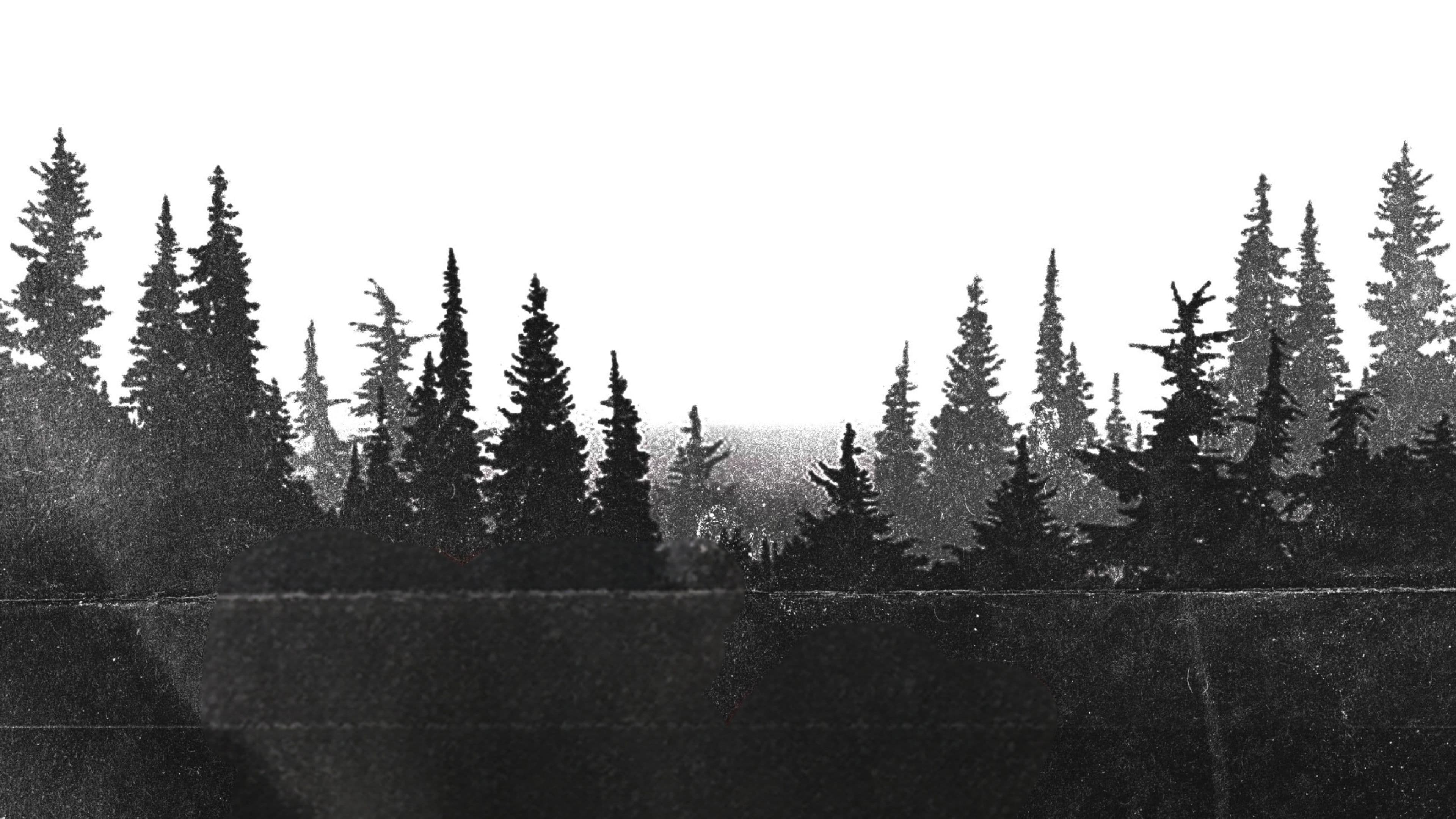 backdrop