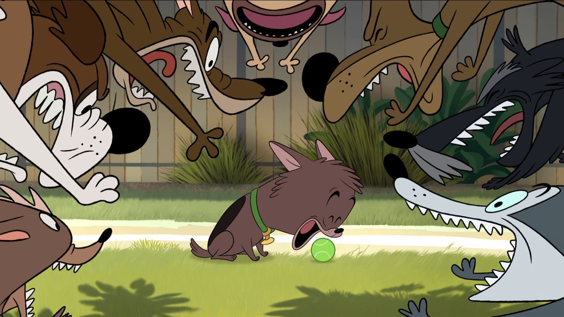 backdrop