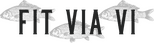Fit Via Vi